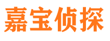 富县市私家侦探